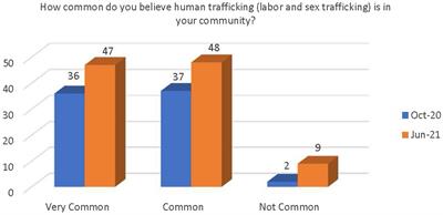 PEARR tool training and implementation: building awareness of violence and human trafficking in a hospital system